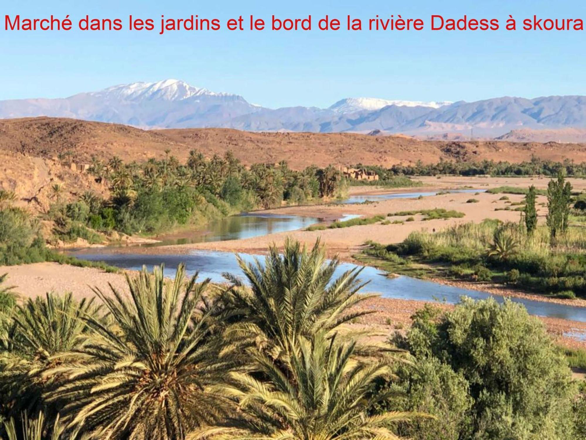 Kasbah Elmehdaoui Chez Madame Najate Bed & Breakfast Skoura Bagian luar foto